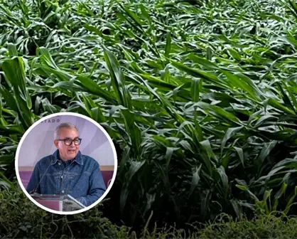 M&aacute;s beneficiosas que perjudiciales las lluvias en Sinaloa; permitir&aacute;n ahorro de agua de riego