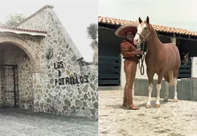 Aqu&iacute; fue donde Vicente Fern&aacute;ndez encontr&oacute; la paz cuando se apagaban los reflectores