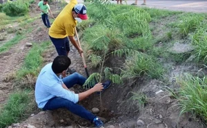 Yebavito, Navolato tendrá corredor verde por iniciativa ciudadana.