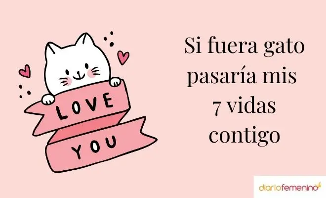 Frases divertidas para tu pareja. Foto: Cortesía.