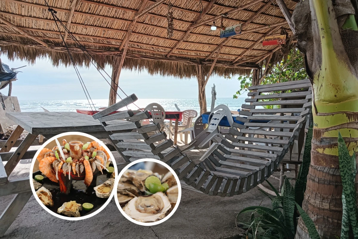 Desde Mariscos Esmeralda, Esmeralda Aguilar impulsa la tradición del ostión y la economía de Celestino Gazca, con cocina fresca, empleo local y liderazgo femenino frente al mar.
