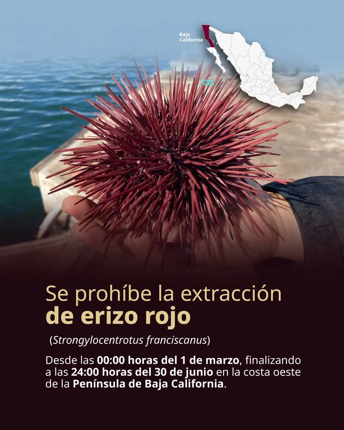 imagen recuadro
