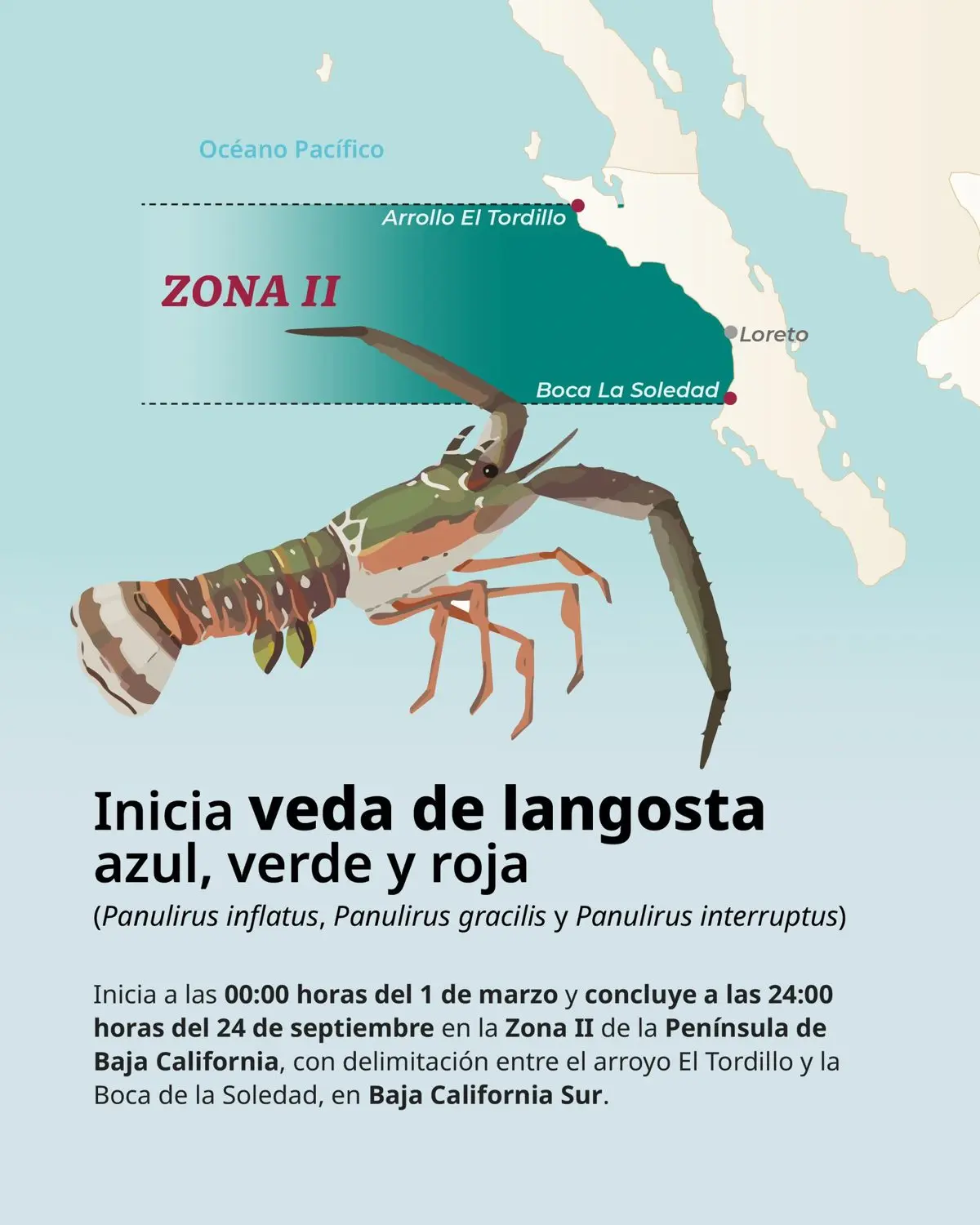 imagen recuadro