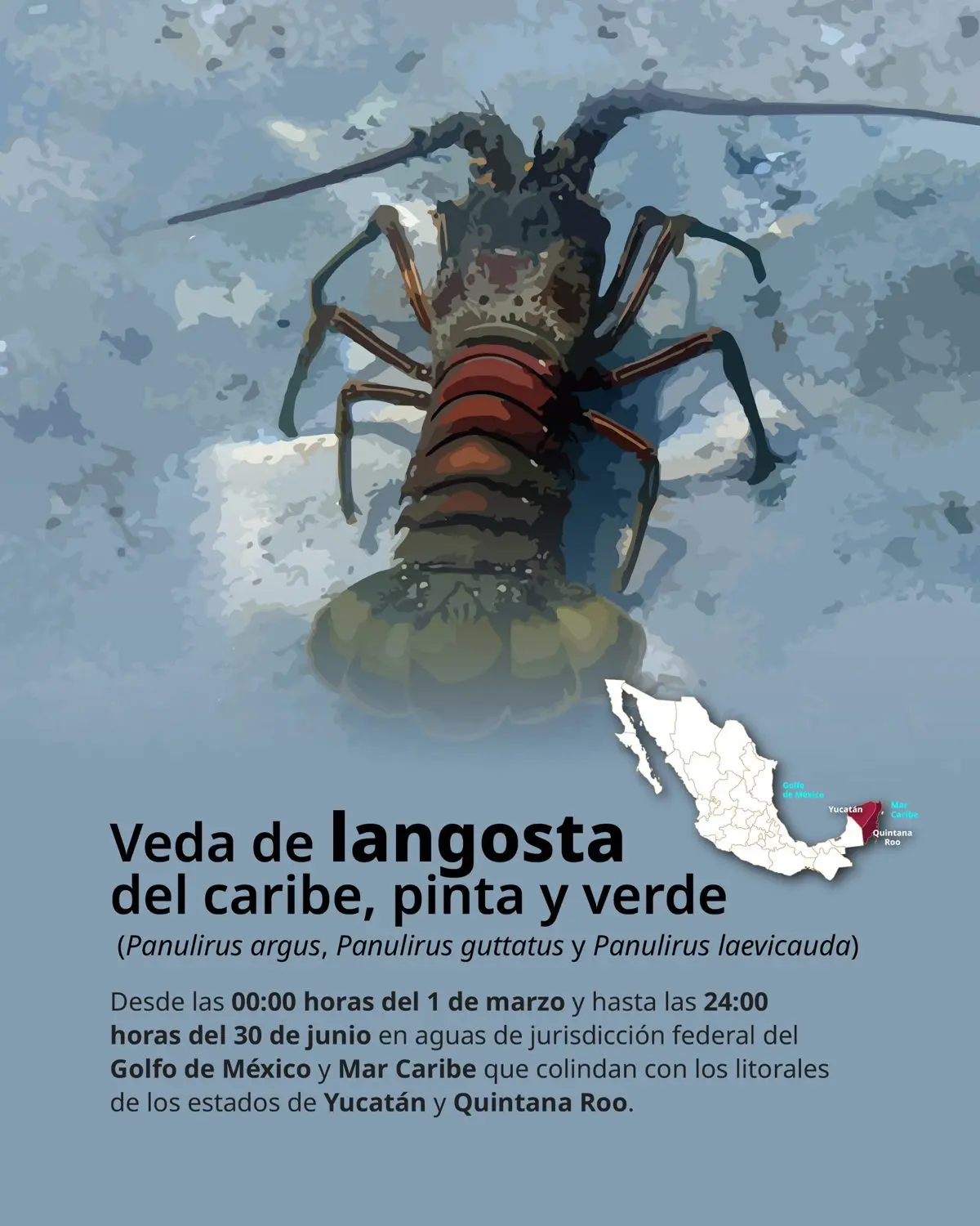 imagen recuadro