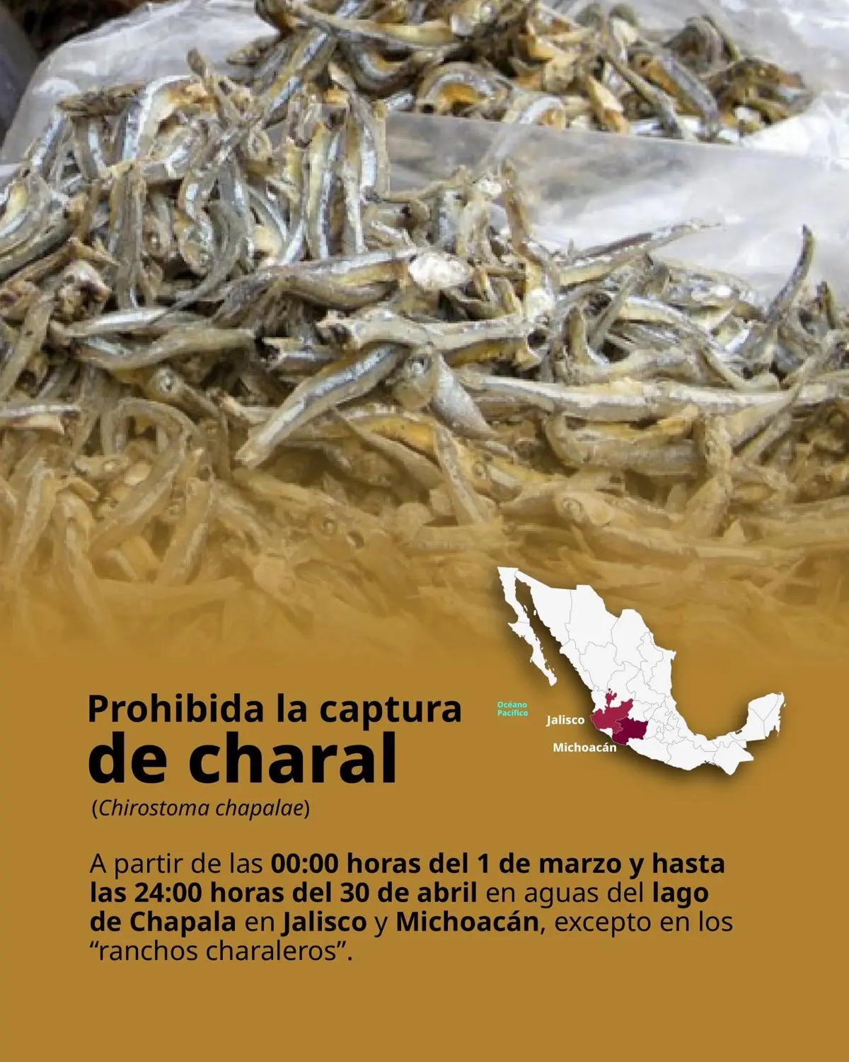 imagen recuadro