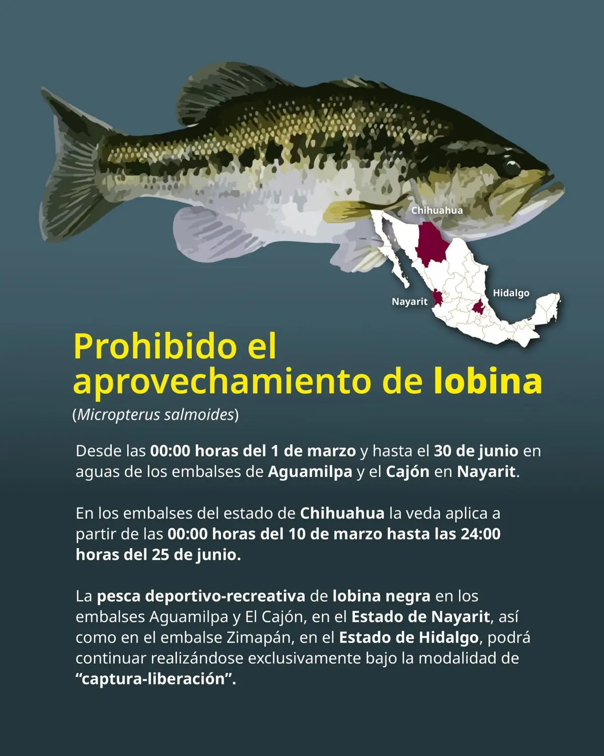 imagen recuadro