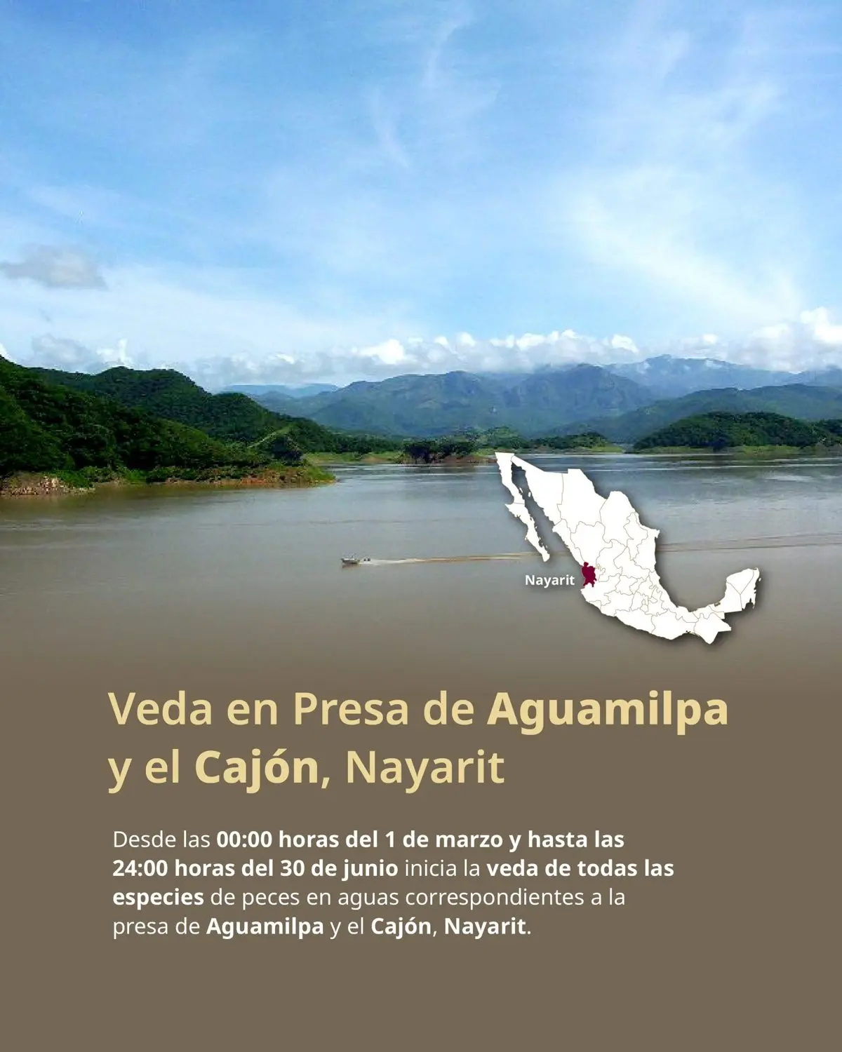 imagen recuadro