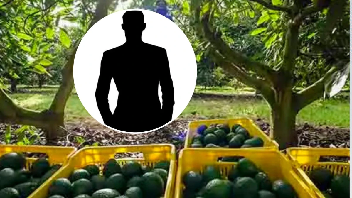 Actor que ahora es productor de aguacate. Foto: Cortesía/Freepik