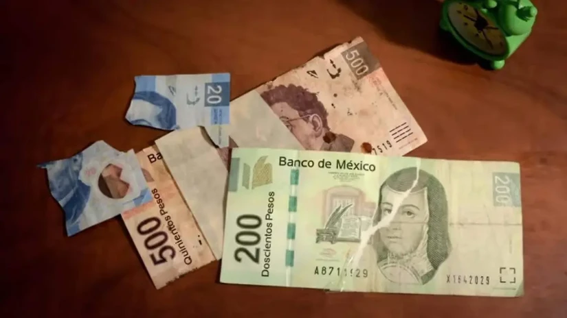 El Banco de México exhorta a evitar daños a los billetes. Foto: Cortesía