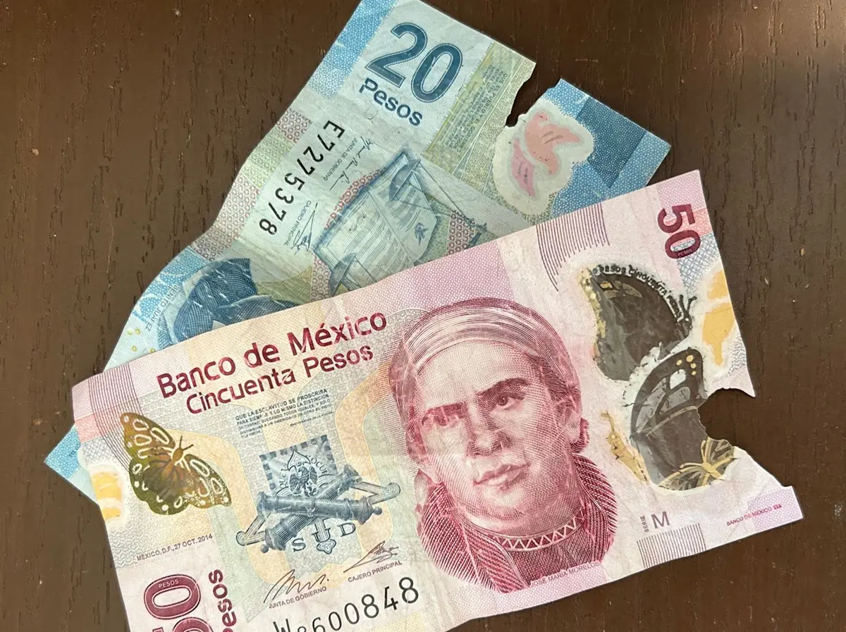 Así funcionan los billetes con daños. Foto: Cortesía