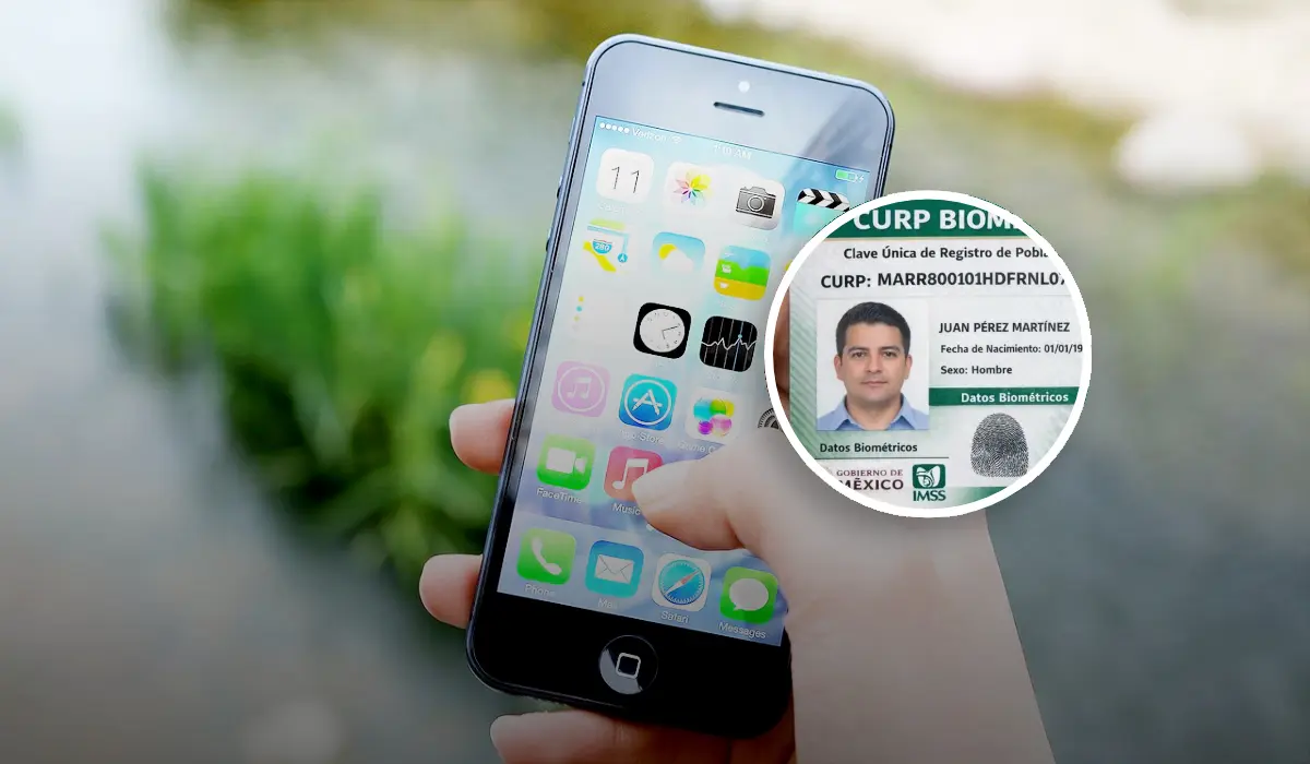 Millones podrían perder su línea celular si no hacen este trámite con la CURP