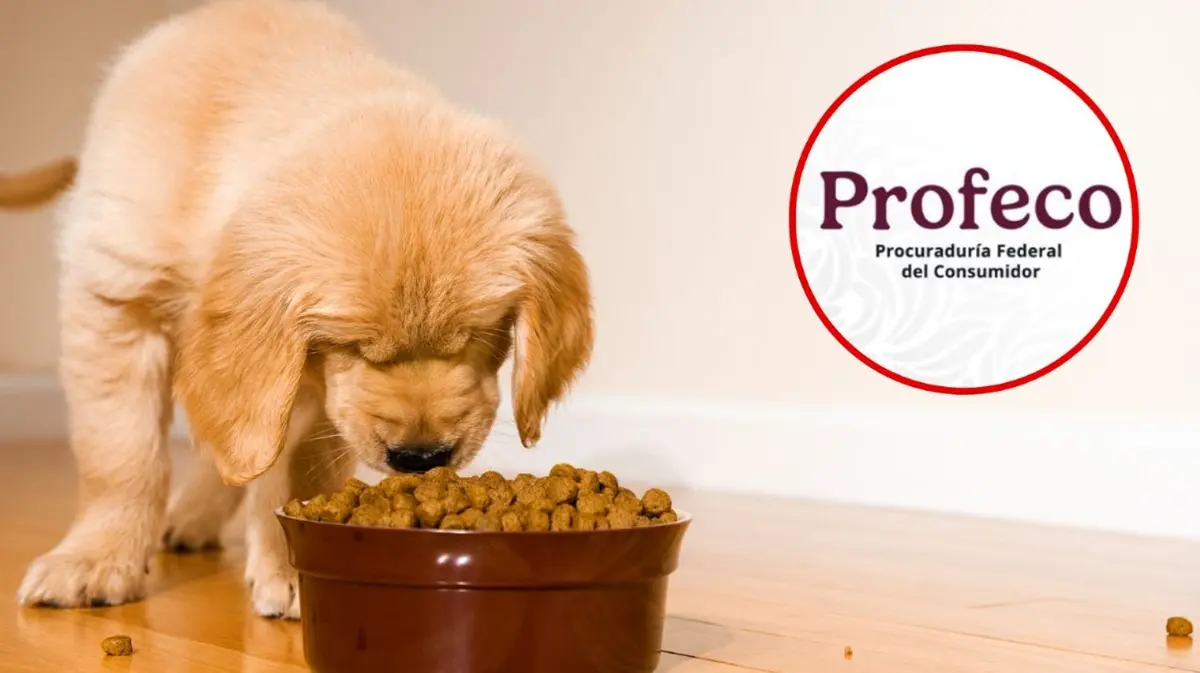 Profeco recomienda por su calidad premium. Foto: Cortesía