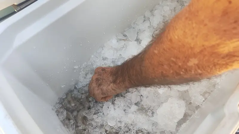 Don Guillermo siempre tiene su hielera a la mano, con su producto preparado para cualquiera que se acerque.