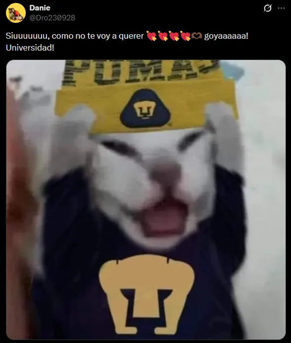 Los mejores memes que dejó el triunfo de Pumas. Foto: Captura de pantalla