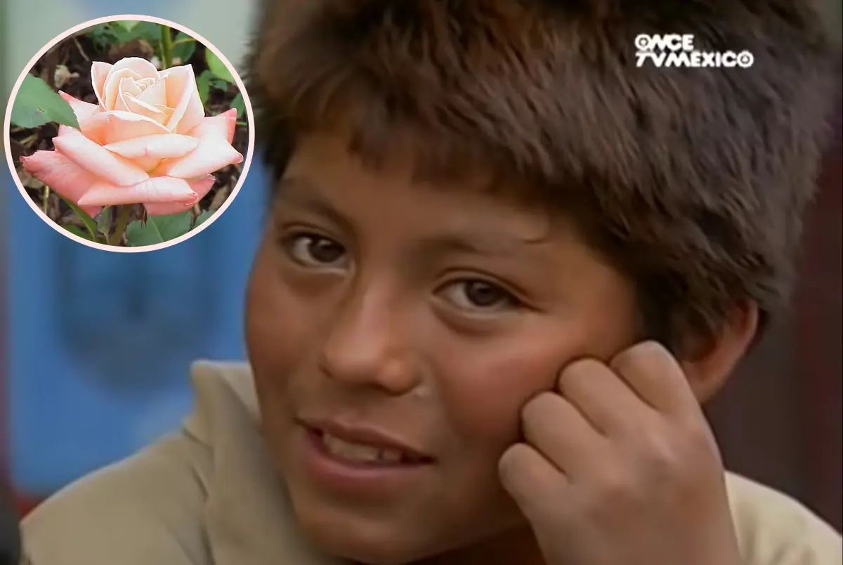 La historia de Alberto vuelve a resonar después de más de dos décadas, con una renovada admiración.