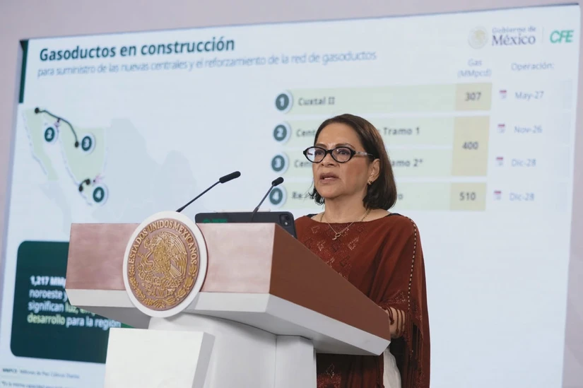Emilia Calleja, Director de CFE