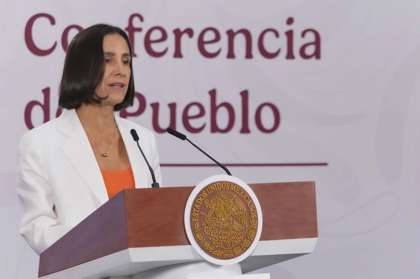 Luz Elena González, Secretaria de Energia