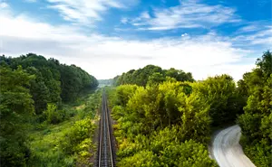 El Tren como Motor de la Sustentabilidad y el Cuidado Ambiental en México