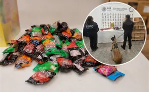 El detalle que alertó a un perro detector y destapó droga oculta en dulces
