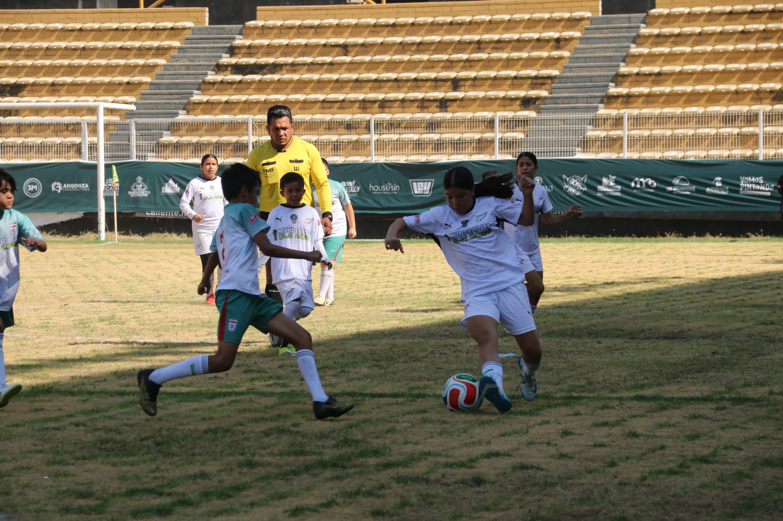 Imagen 1