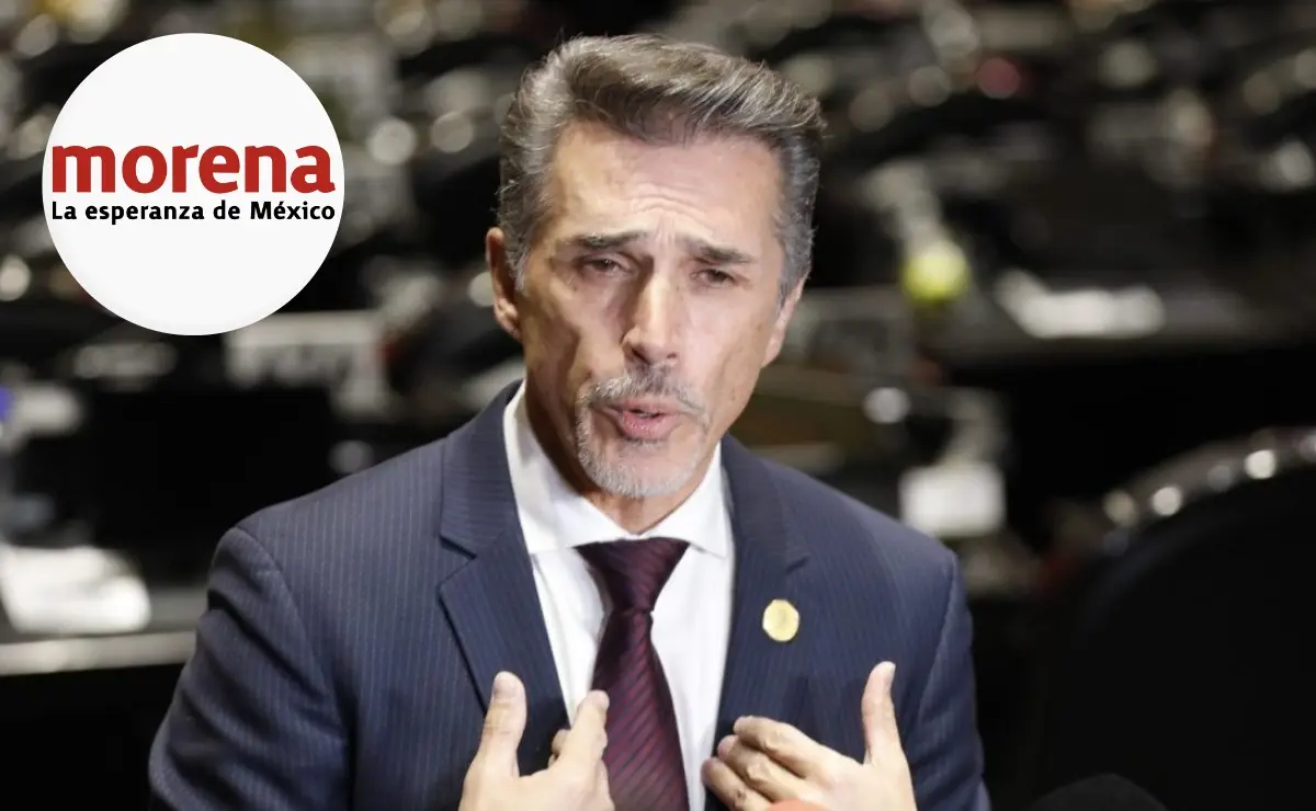 ¿Qué pasará con el cargo de Mayer en el Congreso?