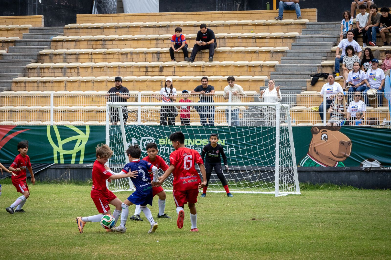 Imagen 4