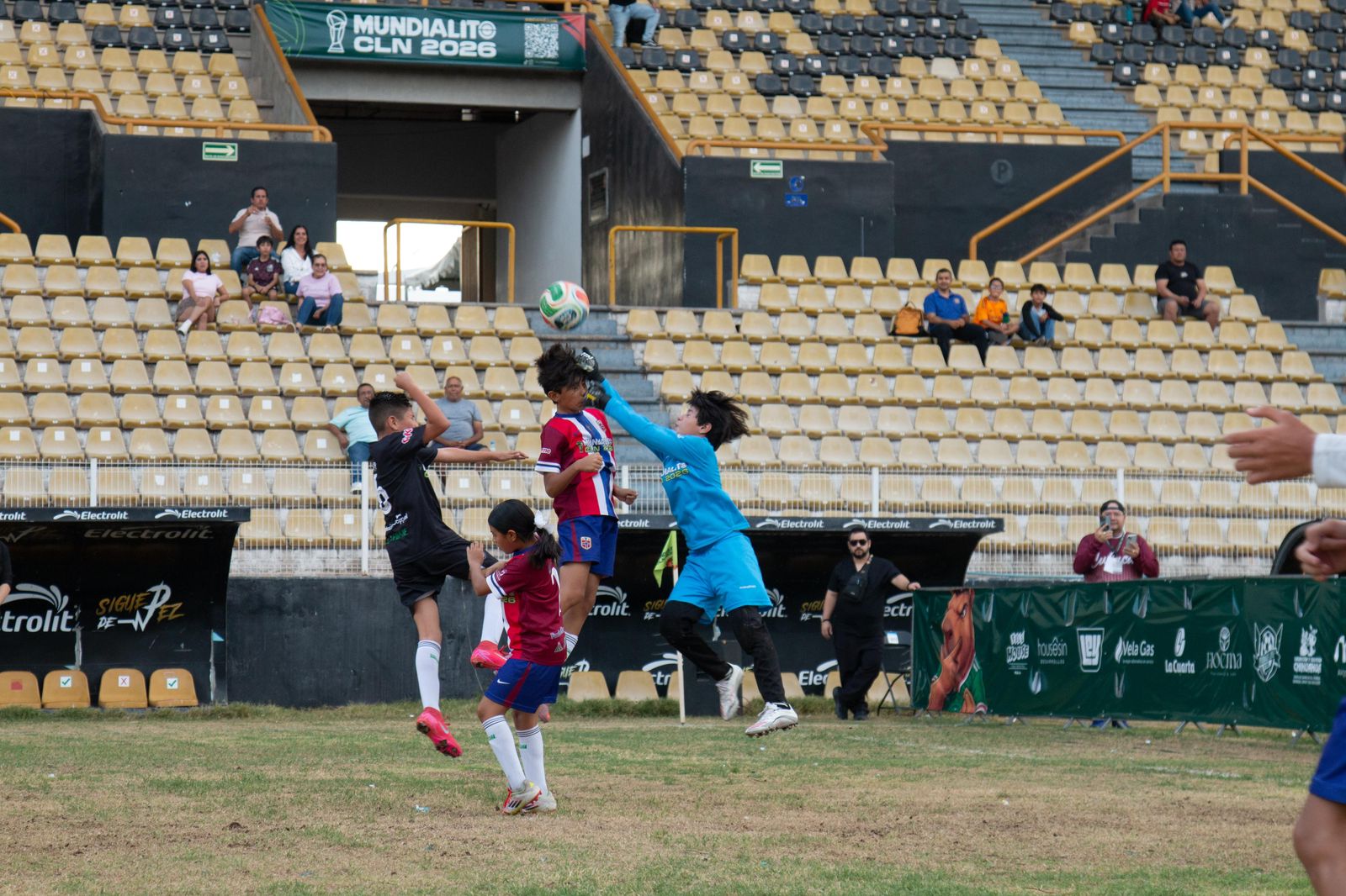 Imagen 20