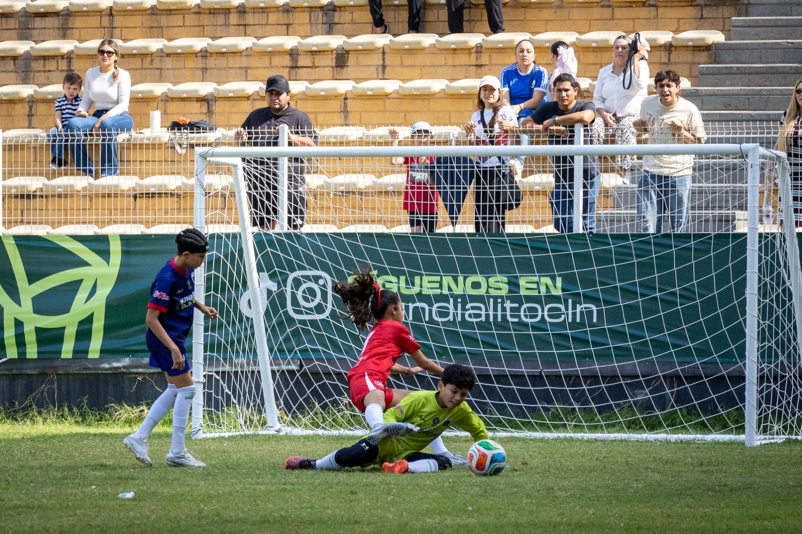 Imagen 11