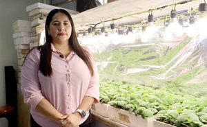 Investigadora de la UAS impulsa agricultura sustentable con silicio y ácido acetilsalicílico