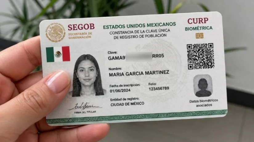 Miles de adultos mayores han mostrado preocupación por la CURP biométrica. Aunque la pensión está protegida por la Constitución, algunos trámites bancarios y administrativos sí podrían requerir la validación de identidad.