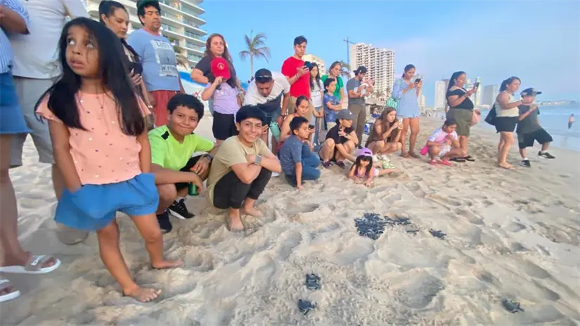 Desde su primer contacto con el encargado del programa de Conservación de Tortugas Marinas, Benjamín tuvo el interés de integrarse al equipo y aprender sobre la especie