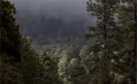 05 de junio: d&iacute;a mundial del medio ambiente 2026