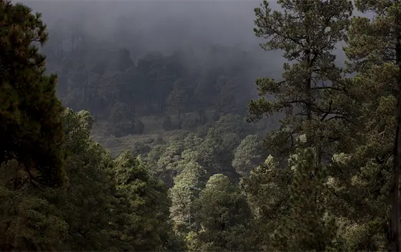05 de junio: d&iacute;a mundial del medio ambiente 2026