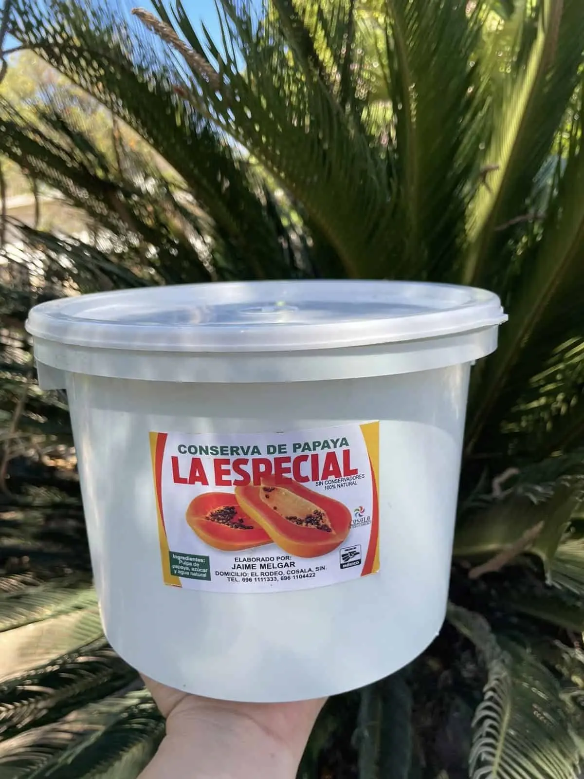 Conserva de Cosalá