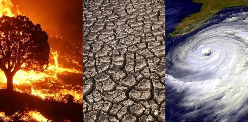 La variación en los patrones de lluvia provoca fenómenos extremos que impactan comunidades, cultivos e infraestructura 