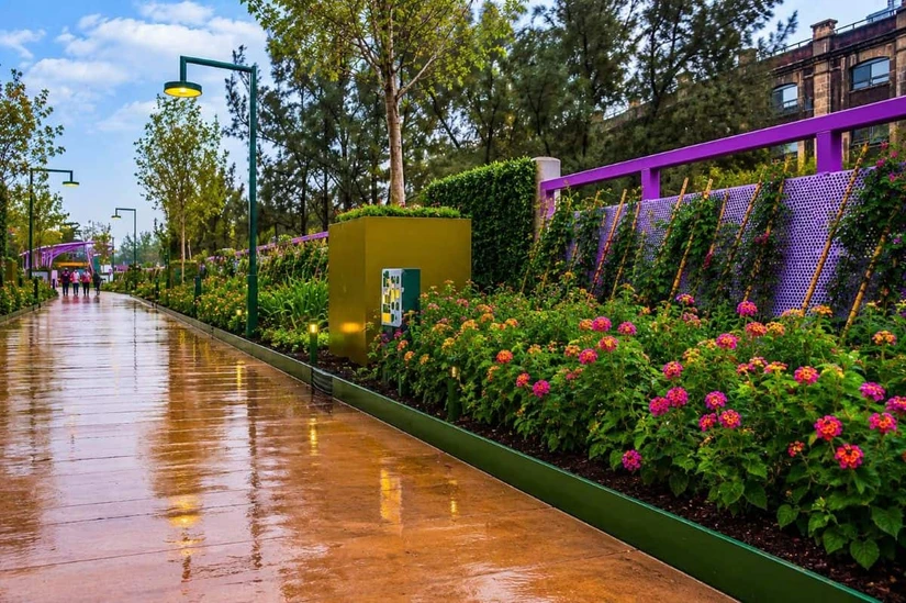 Inauguran jardín flotante Tlallipan de 1.8 kilómetros en CDMX. Foto: Cortesía