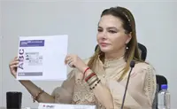 &iquest;Qu&eacute; cambia en la nueva credencial para votar del INE y cu&aacute;ndo comenzar&aacute; a circular?