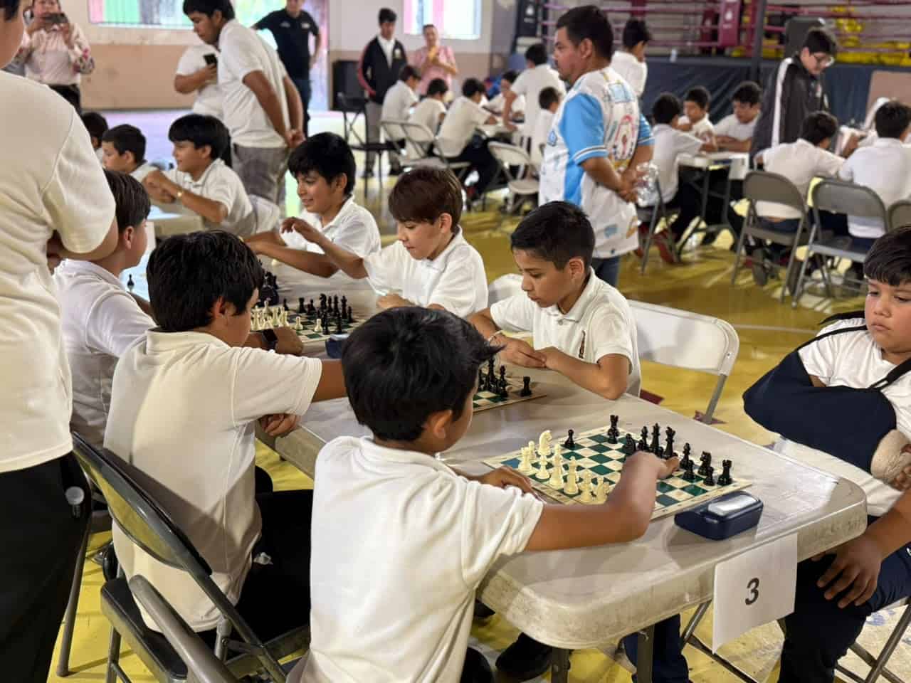 Imagen 5
