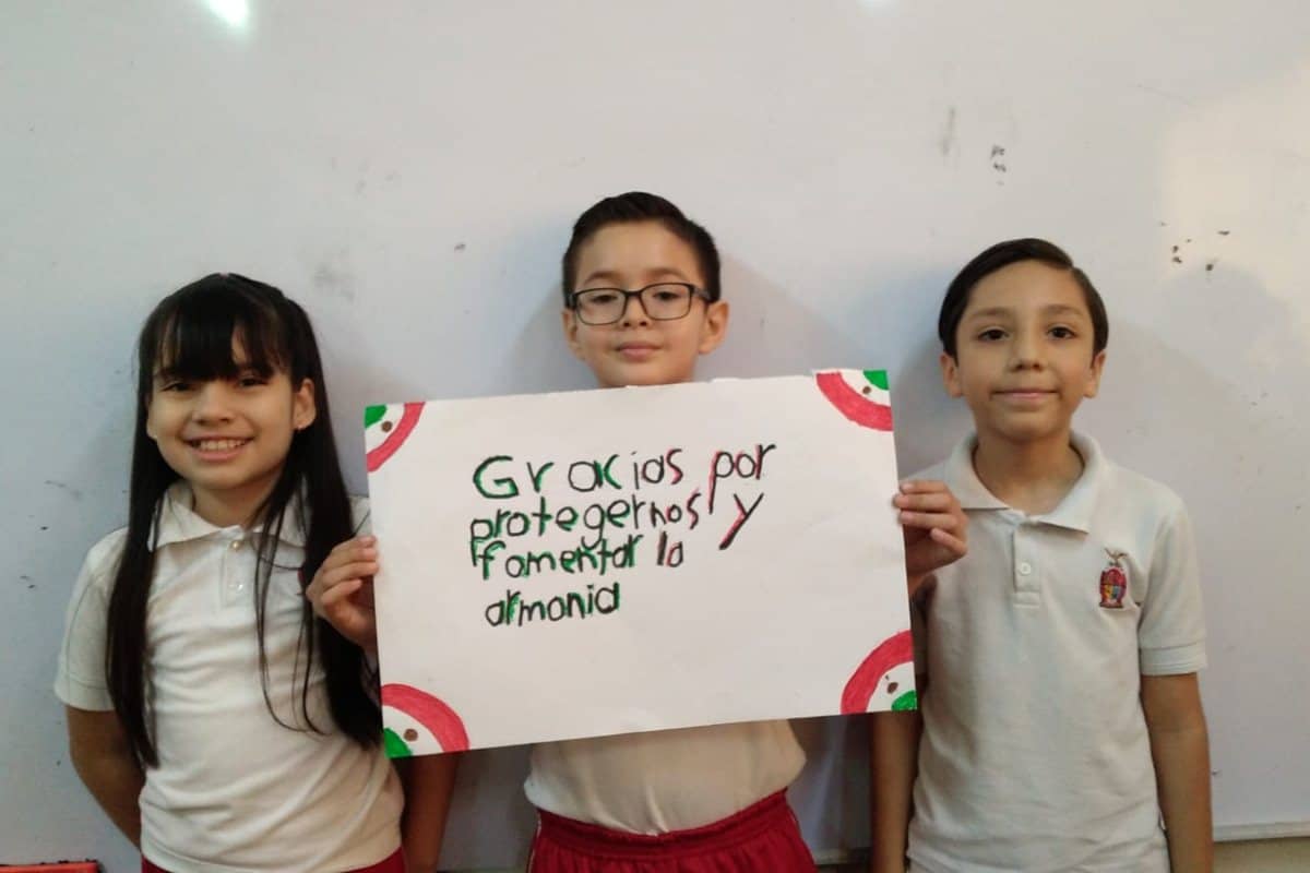 Imagen 18