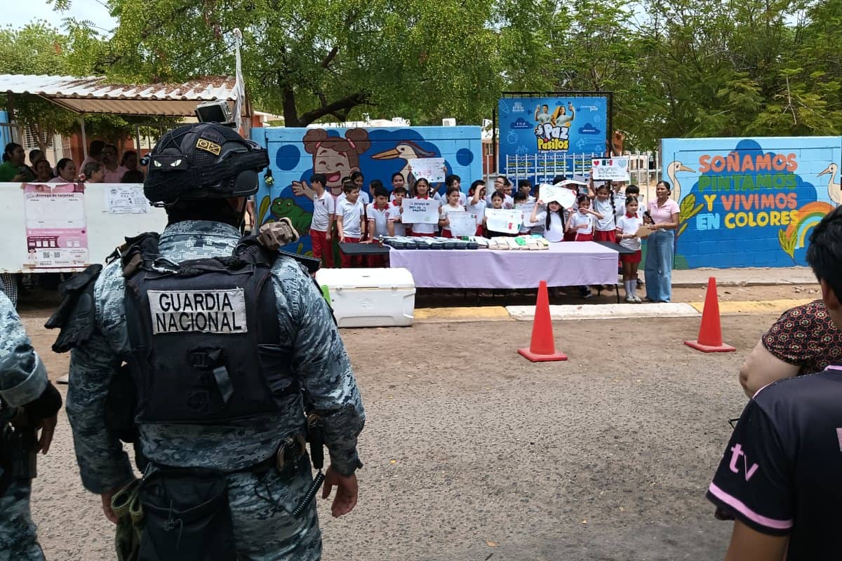 Imagen 5