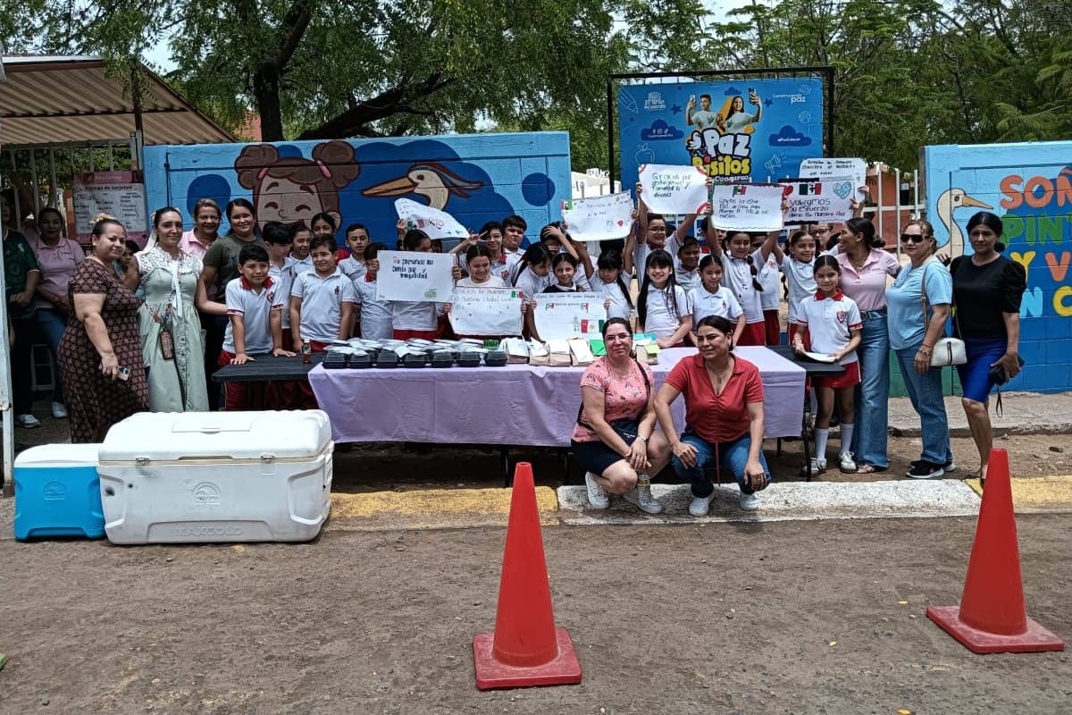 Imagen 8