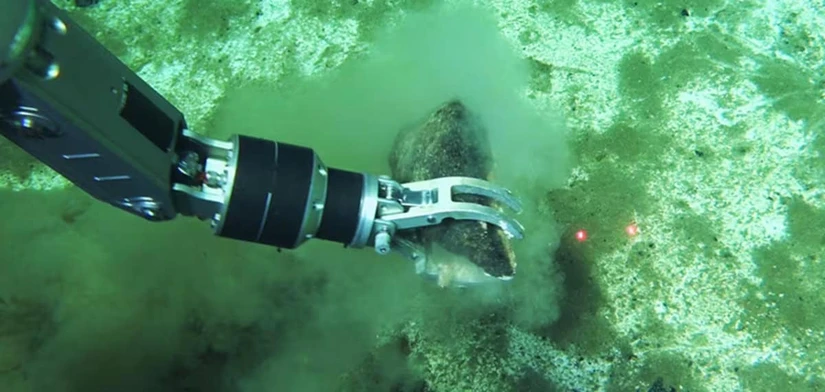 Un corredor submarino de 1,200 kilómetros alberga el mayor cementerio de ballenas conocido. Los investigadores hallaron fósiles de 5 millones de años y posibles especies desconocidas.