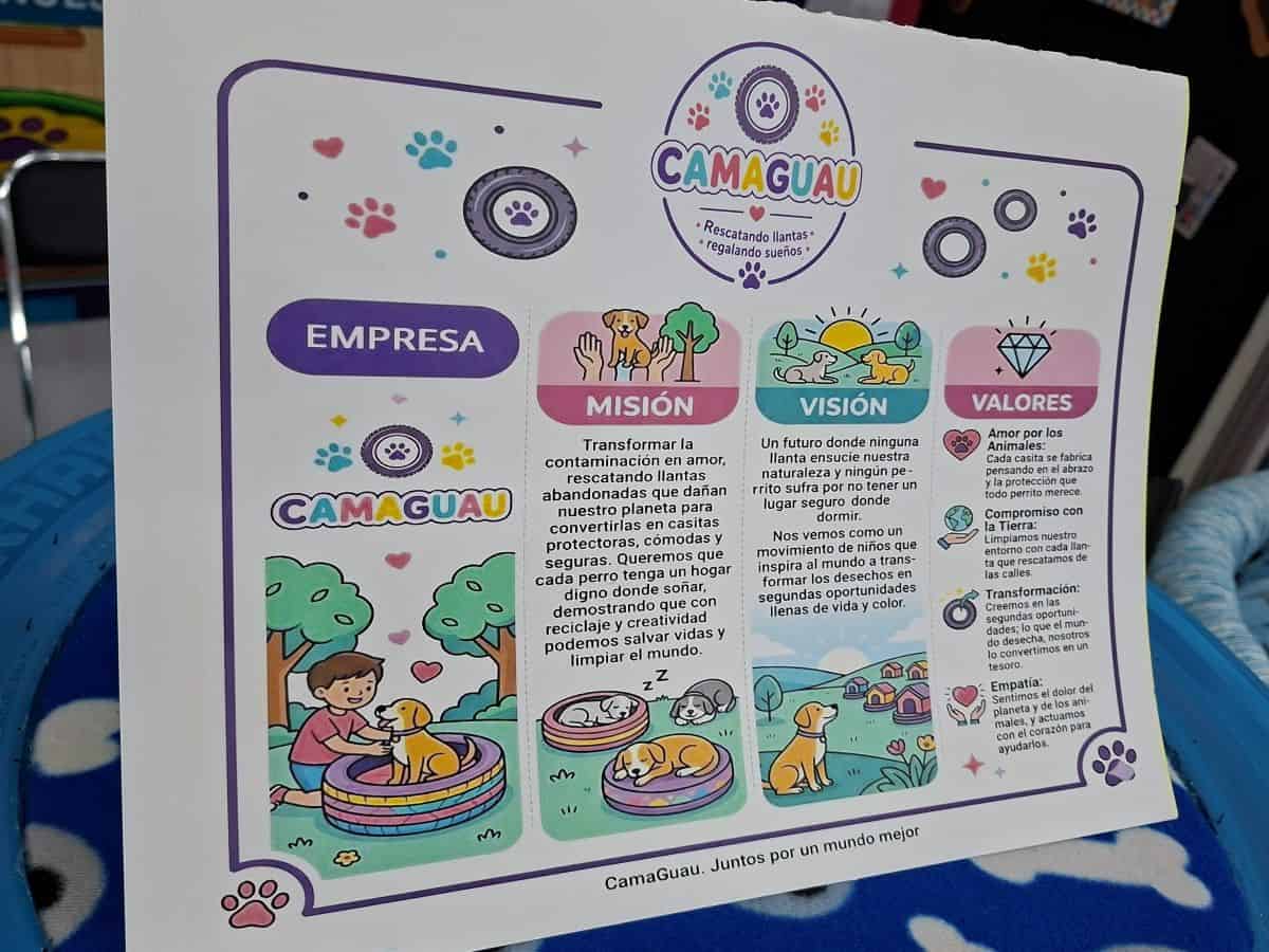 Imagen 21