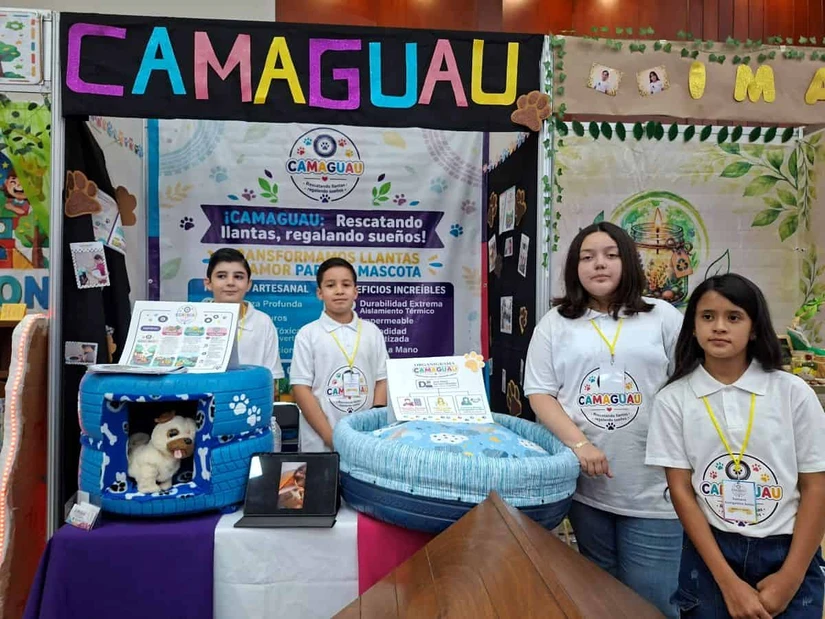 imagen recuadro