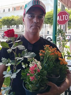 Navol Plant es el sue&ntilde;o de L&aacute;zaro que naci&oacute; en Navolato entre macetas, sacrificios y esperanza