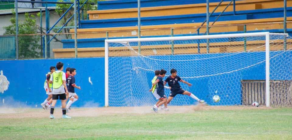Imagen 2