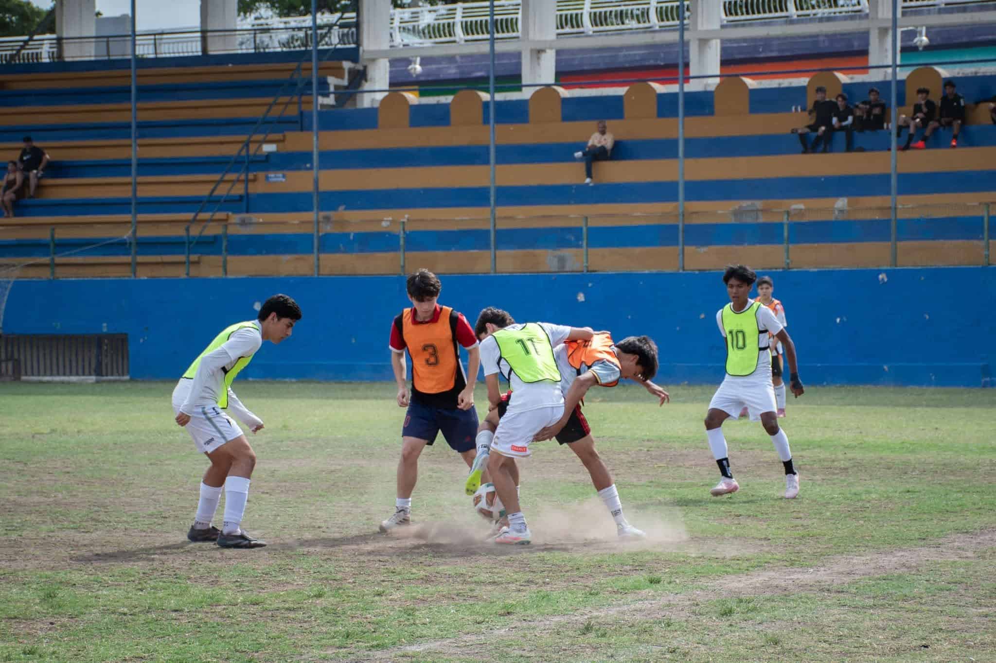 Imagen 16