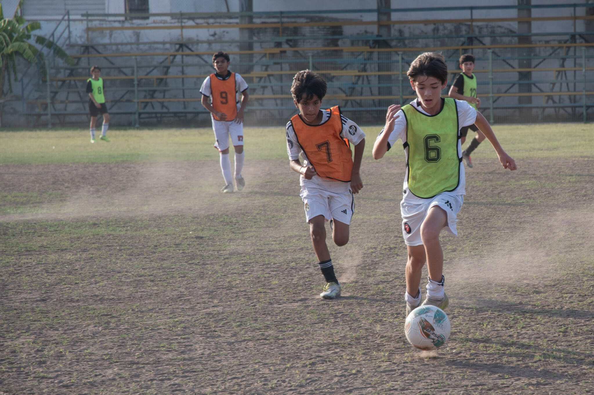 Imagen 15