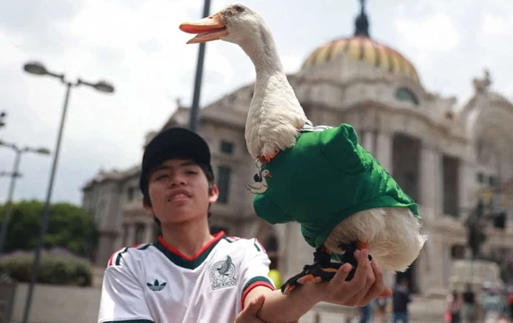 El pato que se rob&oacute; el Mundial: las fotos de Merl&iacute;n que est&aacute;n conquistando las redes