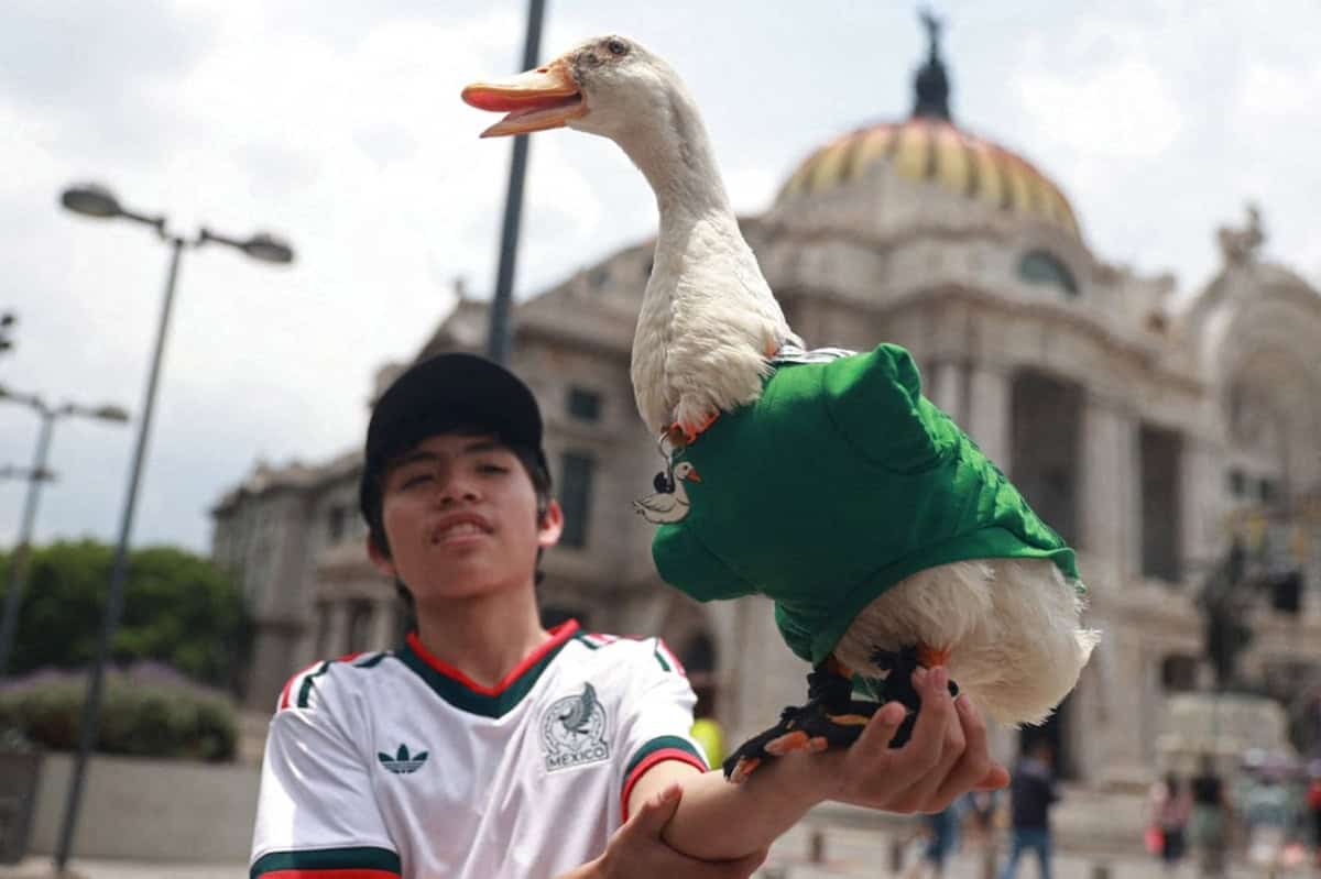 Con su jersey de la Selección Mexicana y sus peculiares tenis, Merlín recorrió las inmediaciones del Ángel de la Independencia durante los festejos por la victoria del Tri. Fotos: Daniel Cardenas /AFP
